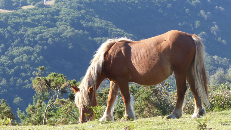 week-end insolite pays basque